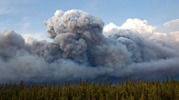 National Companies and Celebrities helping those affected by the Fort McMurray Wildfire